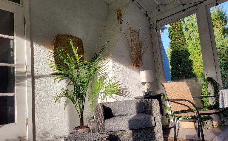 A home addition with a patio set, plants, and a carpet